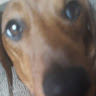 Profile picture of pwaddington57@gmail.com