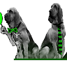 Profile picture of assetfinders4u@gmail.com